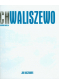 Chwaliszewo Poznańska Wenecja