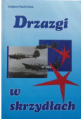 Drzazgi w skrzydłach