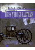 Sobczak Jerzy - Duchy w polskich zabytkach