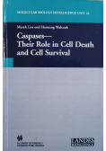 Caspases Their Role in Cell Death and Cell Survival