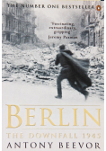 Berlin the downfall 1945