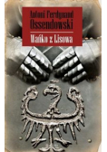 Wańko z Lisowa