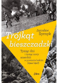 Trójkąt bieszczadzki