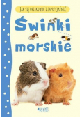 Jak się opiekować i zaprzyjaźnić Świnki morskie