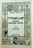 Tysiąc lat historii polskiego narodu 3 tomy