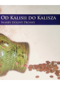 Od Kalisii do Kalisza Skarby doliny Prosny