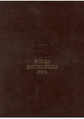 Wielka encyklopedia PWN T.1