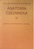 Anatomia człowieka Tom 2