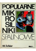 Popularne mikro silniki spalinowe