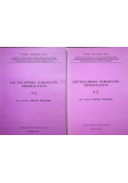 Encyklopedia surowców mineralnych 2 tomy