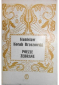 Brzozowski Poezje zebrane