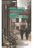 Małe miasta w czasach płynnej nowoczesności