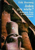 Jeden czy wielu?