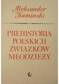 Prehistoria polskich związków młodzieży
