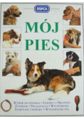 Mój pies