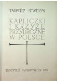 Kapliczki i krzyże przydrożne w Polsce