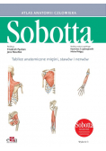 Tablice anatomiczne mięśni, stawów i nerwów. Angielskie mianownictwo