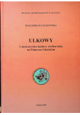 Ulkowy Cmentarzysko kultury wielbarskiej