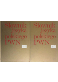 Słownik języka polskiego PWN 2 tomy