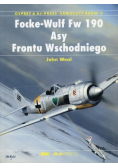 Focke- Wulf Fw 190 Asy Frontu Wschodniego