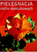 Pielęgnacja roślin doniczkowych
