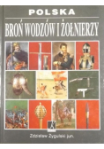 Polska: broń wodzów i żołnierzy