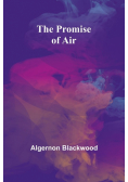 The Promise of Air