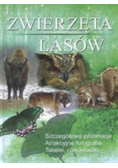 Zwierzęta lasów