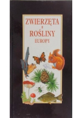 Zwierzęta i rośliny Europy