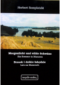 Brzaski i dzikie łabędzie Lato na mazurach