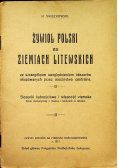 Żywioł Polski na Ziemiach Litewskich 1917 r.