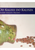 Od Kalisii do Kalisza Skarby doliny Prosny