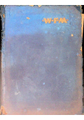 Motocykl WFM 125 Model M 06