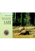 Lasy Janowskie