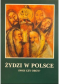 Żydzi w Polsce. Swoi czy obcy?