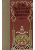 Nałkowska Dzienniki 1909  1917