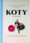 Koty z Grochowa czyli o mruczeniu wewnątrz
