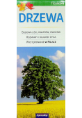 Drzewa