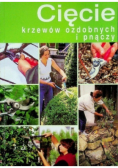 Cięcie krzewów ozdobnych i pnączy