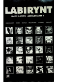 Labirynt antologia Nr 1