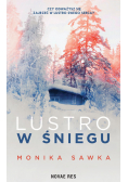 Lustro w śniegu