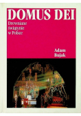 Domus Dei. Drewniane świątynie w Polsce