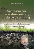 Spontaniczne kształtowanie się pokrywy roślinnej