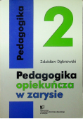 Pedagogia opiekuńcza w zarysie, Tom 2