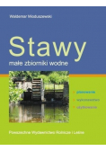 Stawy małe zbiorniki wodne