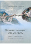 Niewiele mniejszy od aniołów