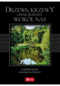 Drzewa, krzewy i inne rośliny wokół nas