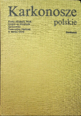 Karkonosze polskie