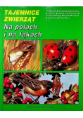 Tajemnice zwierząt Na polach i na łąkach