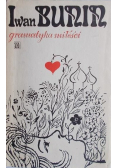 Gramatyka  miłości